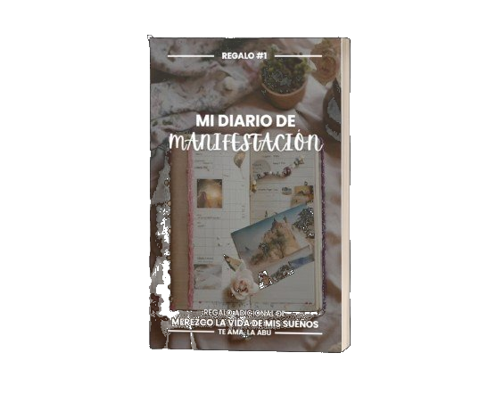 Mi Diario de Manifestación